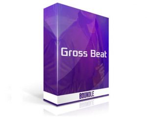 Gross Beat VST Crack v1.0.7 Free Download 2022 [Win + Mac]